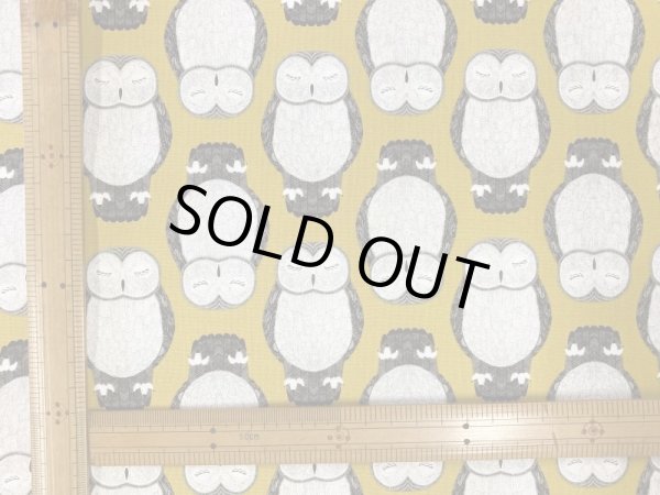 画像4: moda 48332-14  NOCTURNAL フクロウ　イエロー (4)