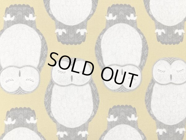 画像2: moda 48332-14  NOCTURNAL フクロウ　イエロー (2)