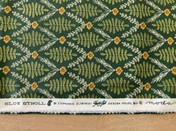 画像4: moda　45543-25　SLOW STROLL　グリーン (4)