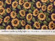 画像2: moda　6839-14　SUNFLOWER　GARDEN　パープル (2)