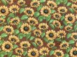 画像1: moda　6893-13　SUNFLOWER　GARDEN　ブラウン (1)