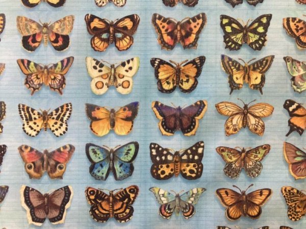 画像1: moda　7412-17　JUNK　JOURNAL　蝶　ブルー (1)