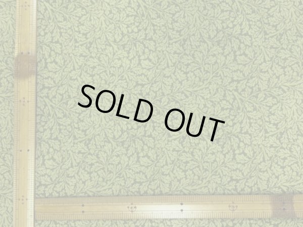 画像2: moda　8376-20　MORRIS MEADOW　ACORNグリーン (2)