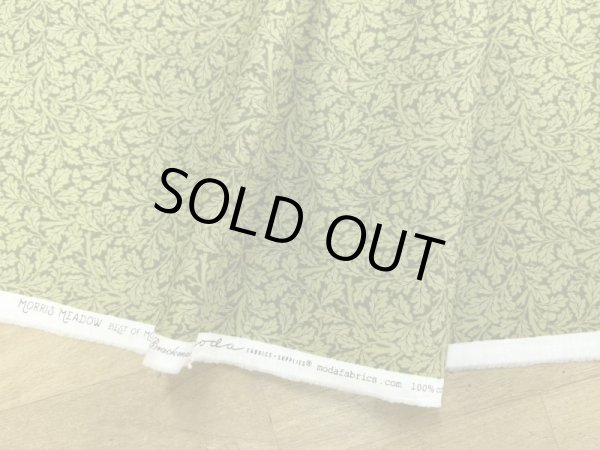 画像3: moda　8376-20　MORRIS MEADOW　ACORNグリーン (3)