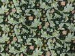 画像1: moda　8374-21　MORRIS MEADOW　LIECESTERブラック (1)