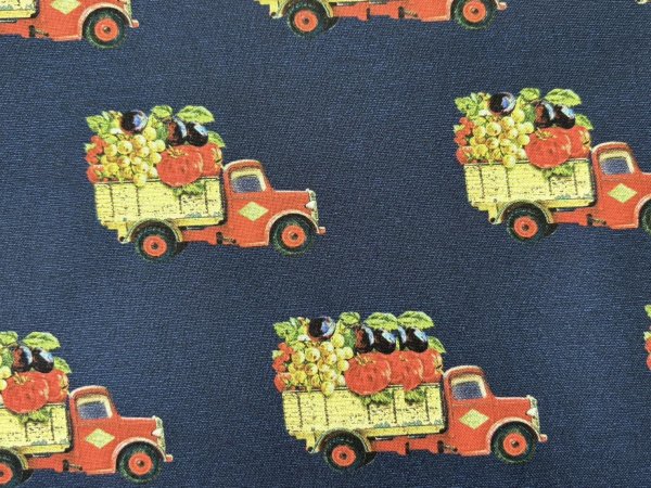 画像2: moda 7475-16 FARM AND GARDEN ネイビー (2)