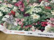 画像4: Sarara JAPAN　211099 (4)